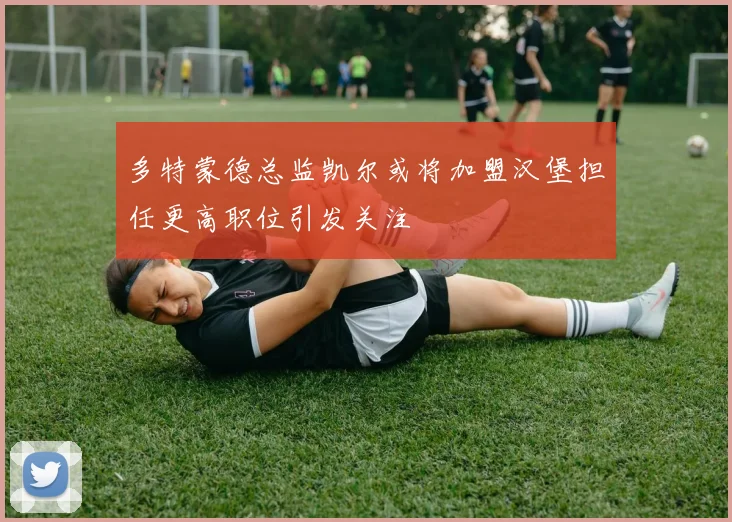 多特蒙德总监凯尔或将加盟汉堡担任更高职位引发关注